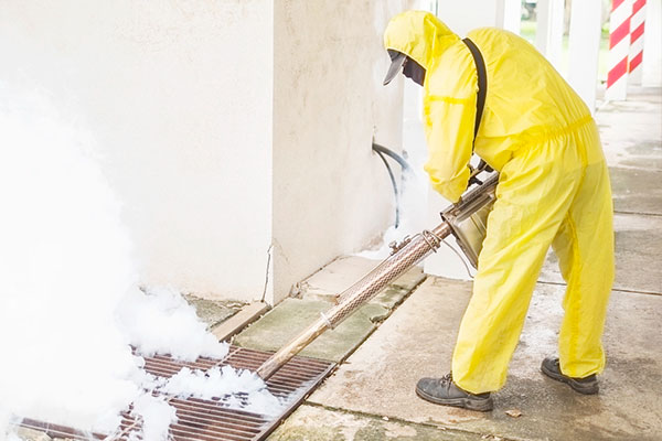 Mold remediation